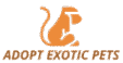 ADOPT EXOTIC PETS